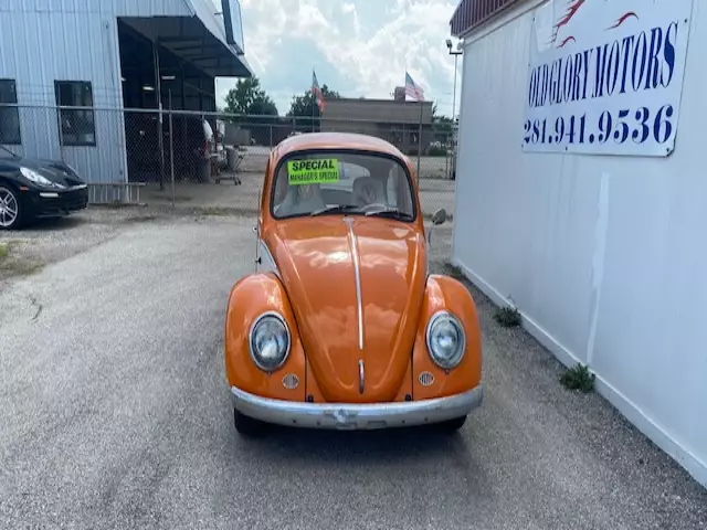 1965 volkswagen bettle